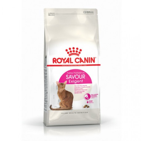 Royal Canin – Pienso para gatos adultos Royal Canin Savour Exigent.