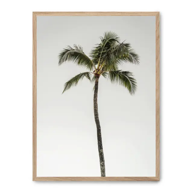 Cuadro palm tree by the beach 30x40cm, Póster impreso en papel de primera calidad de 180gr, montado sobre marco de madera MDF acabado roble., Botánica - Palmeras