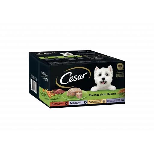Cesar Multipack Comida Húmeda Selección de la Huerta en Paté y Gelatina para Perros - 8x150 gr