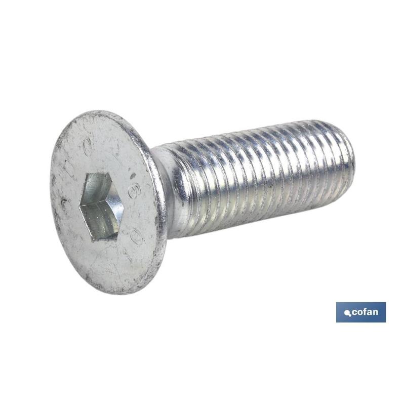 Din-7991 c-10.9  m-14 x 80 z   caja 25 unid.