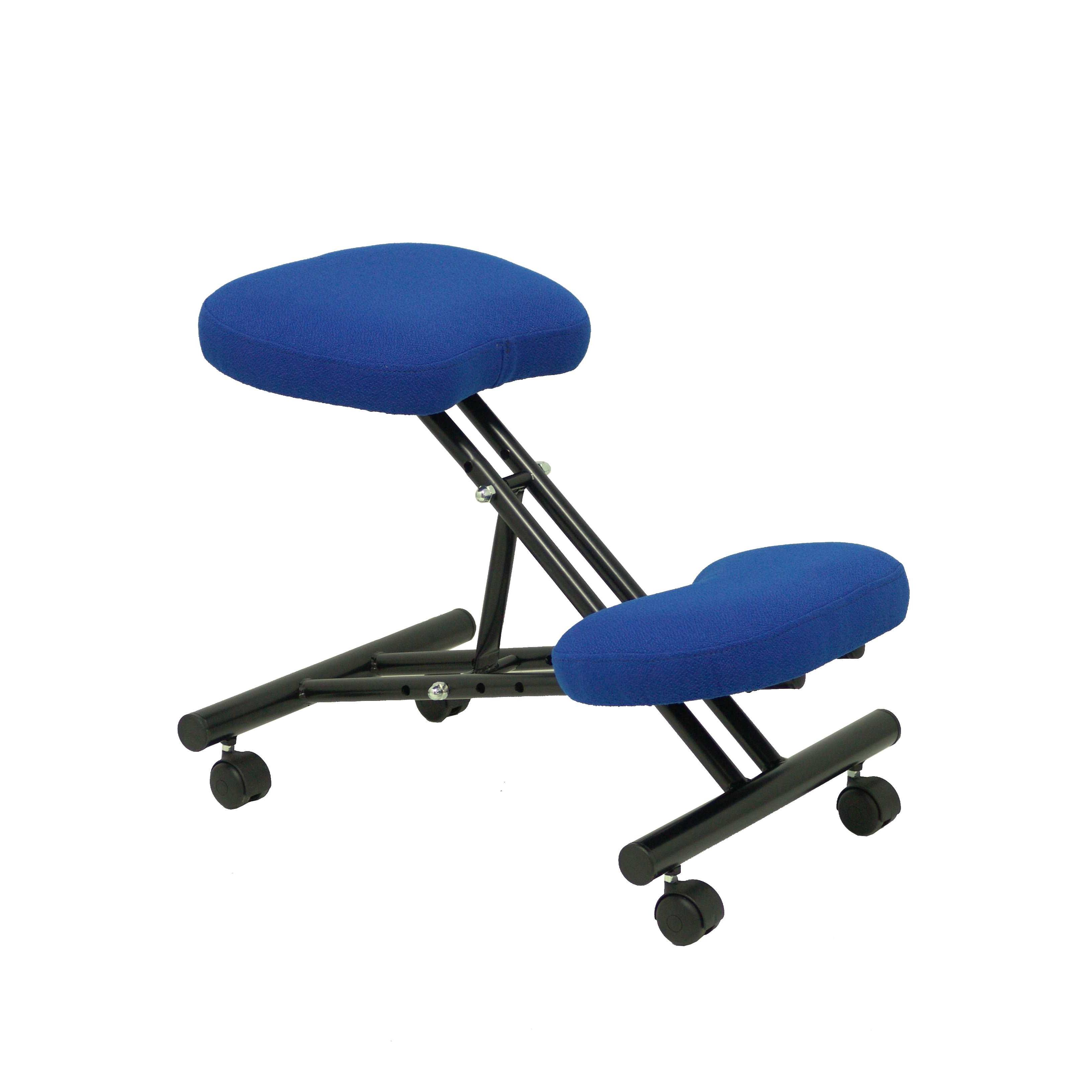Silla Ergonómica Piqueras Y Crespo con Reposarodillas y Ruedas Regulable en Altura Bali Azul