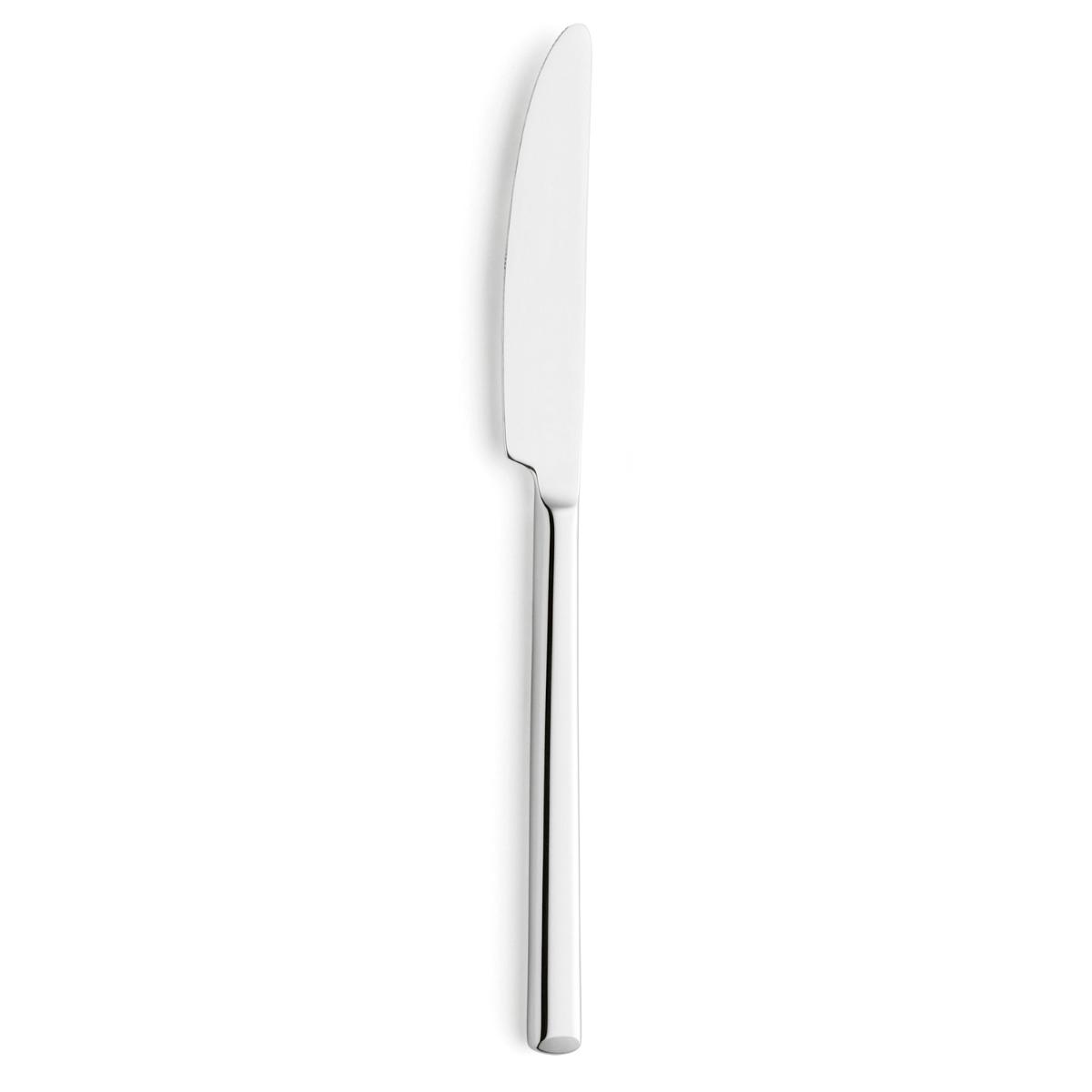 AMEFA METROPOLE Caja 12 Cuchillos Postre Acero Inox 20,5CM-2,5MM Acero Brillo Fácil de limpiar Ecológico