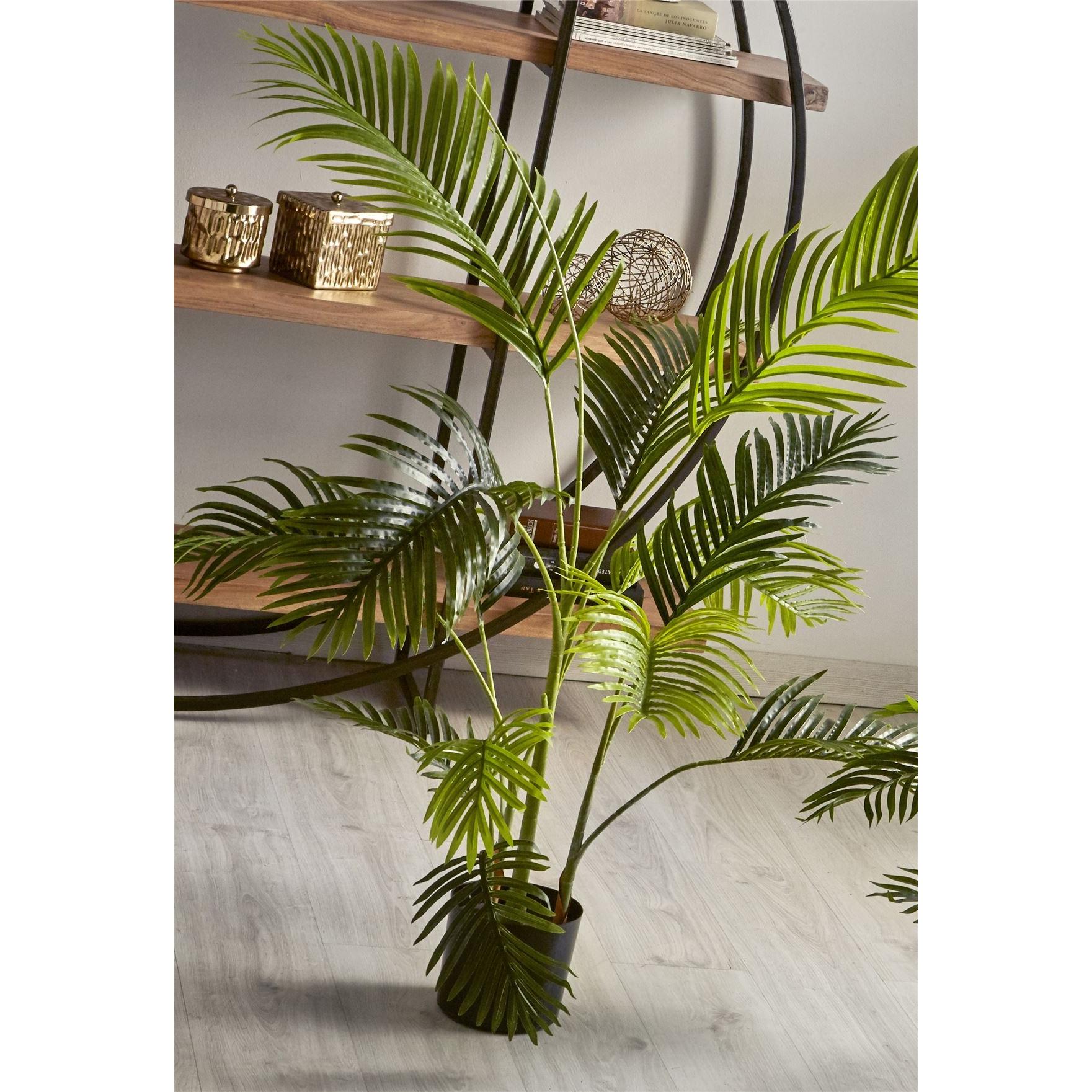 Planta kentia 140 cms. 140 cms. El mejor complemento para tu hogar lo encontrarás aquí.