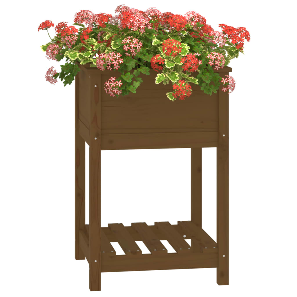 vidaXL Jardinera de madera maciza de pino marrón 54x54x81 cm