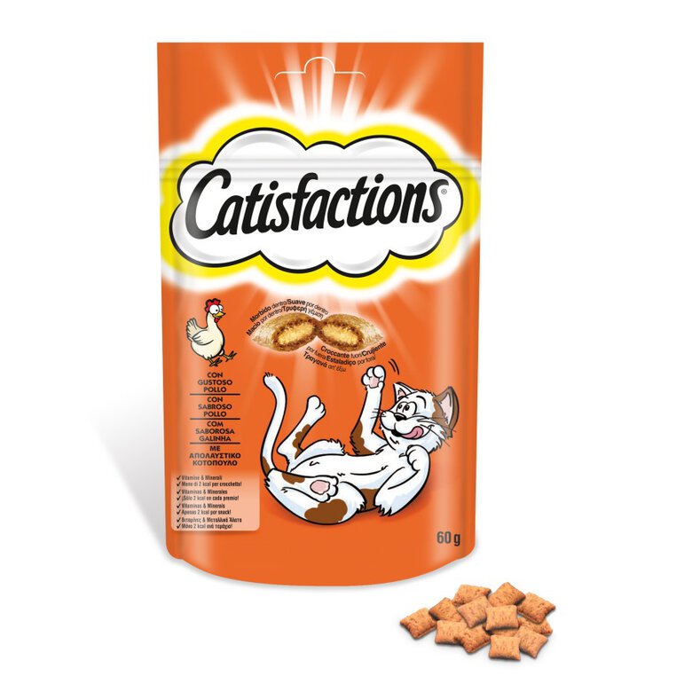 Catisfactions - 