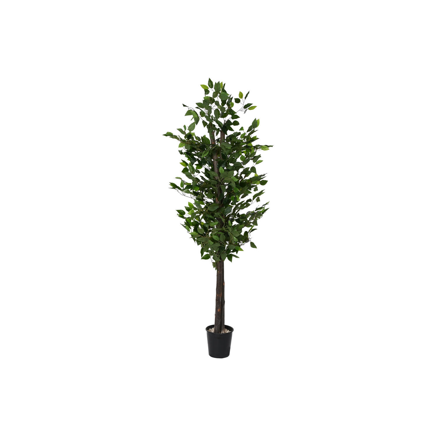 Arbol madera poliester 80x80x180 ficus verde El mejor complemento para tu hogar.
