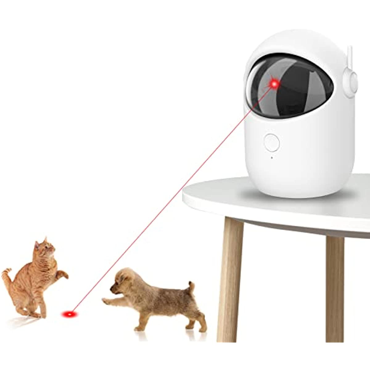 Juguete láser para gatos, puntero láser rojo, juguete para gatos, juguetes  interactivos para gatos de interior, perros, puntero láser recargable USB  para gatos para perseguir juguetes de gatitos, punt