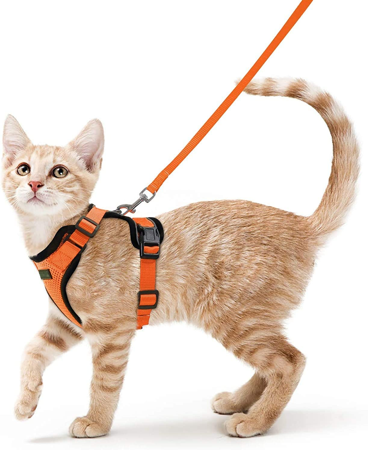 Cierre de collar de gato reflectante airtag con soporte GPS