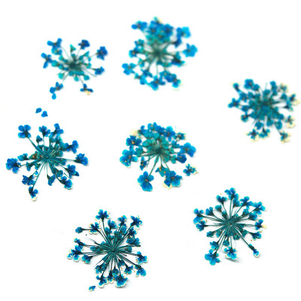 KADS - KADS Star Cluster-diamantes de imitación para manicura, decoración artística de uñas, flor seca