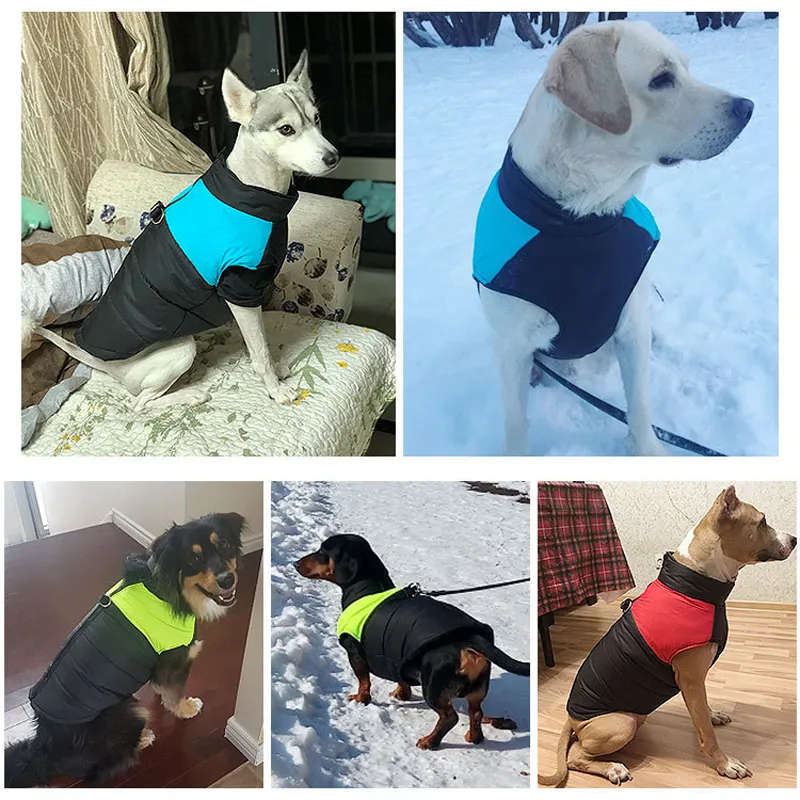 Ropa Cálida De Invierno Para Perros Pequeños, Medianos Y Grand, Chaqueta Suave Para Mascotas A Prueba De Viento, Abrigo Para Mascotas Al Aire Libre, Bonito Disfraz De Polar Para Chihuahua Y Pug